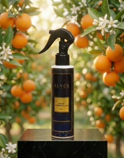 Orange (Fruité / Agrumes)
